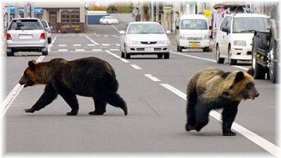 熊、出没注意.jpg